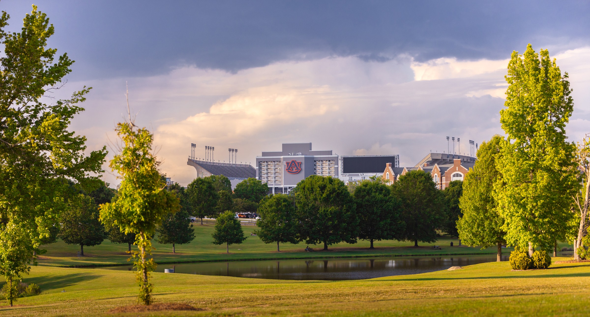 Elsewhere — stadium green, wide