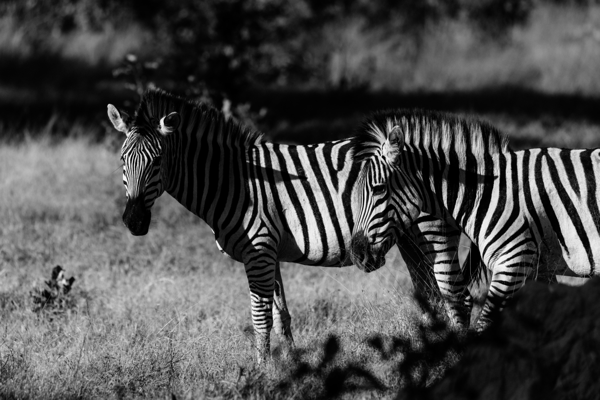 Botswana