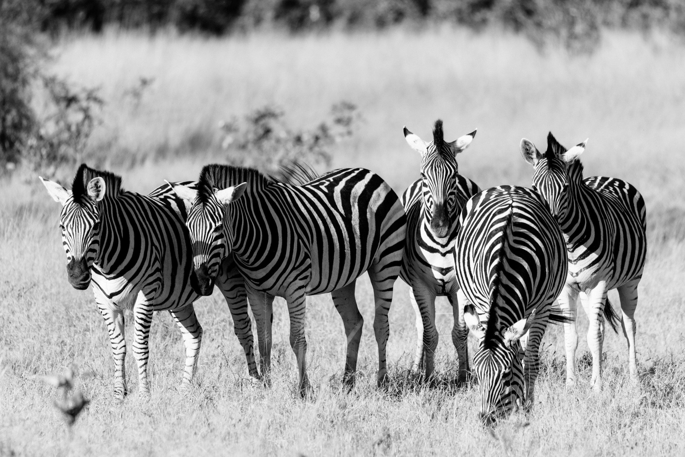 Botswana
