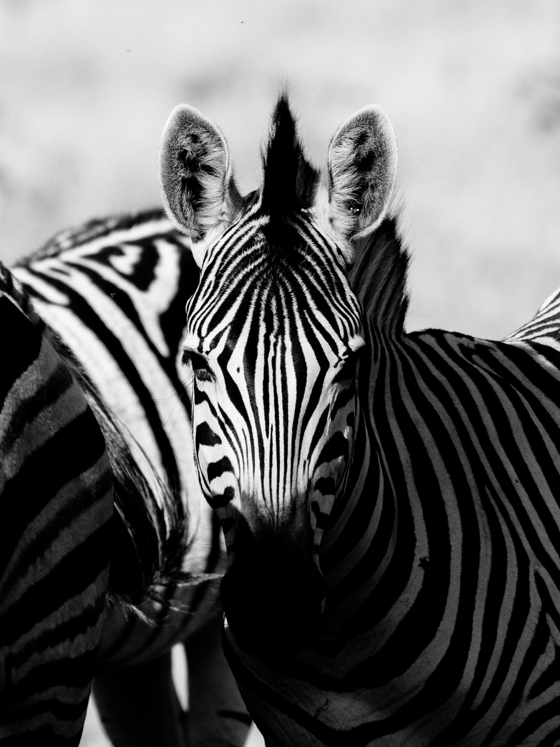 Botswana