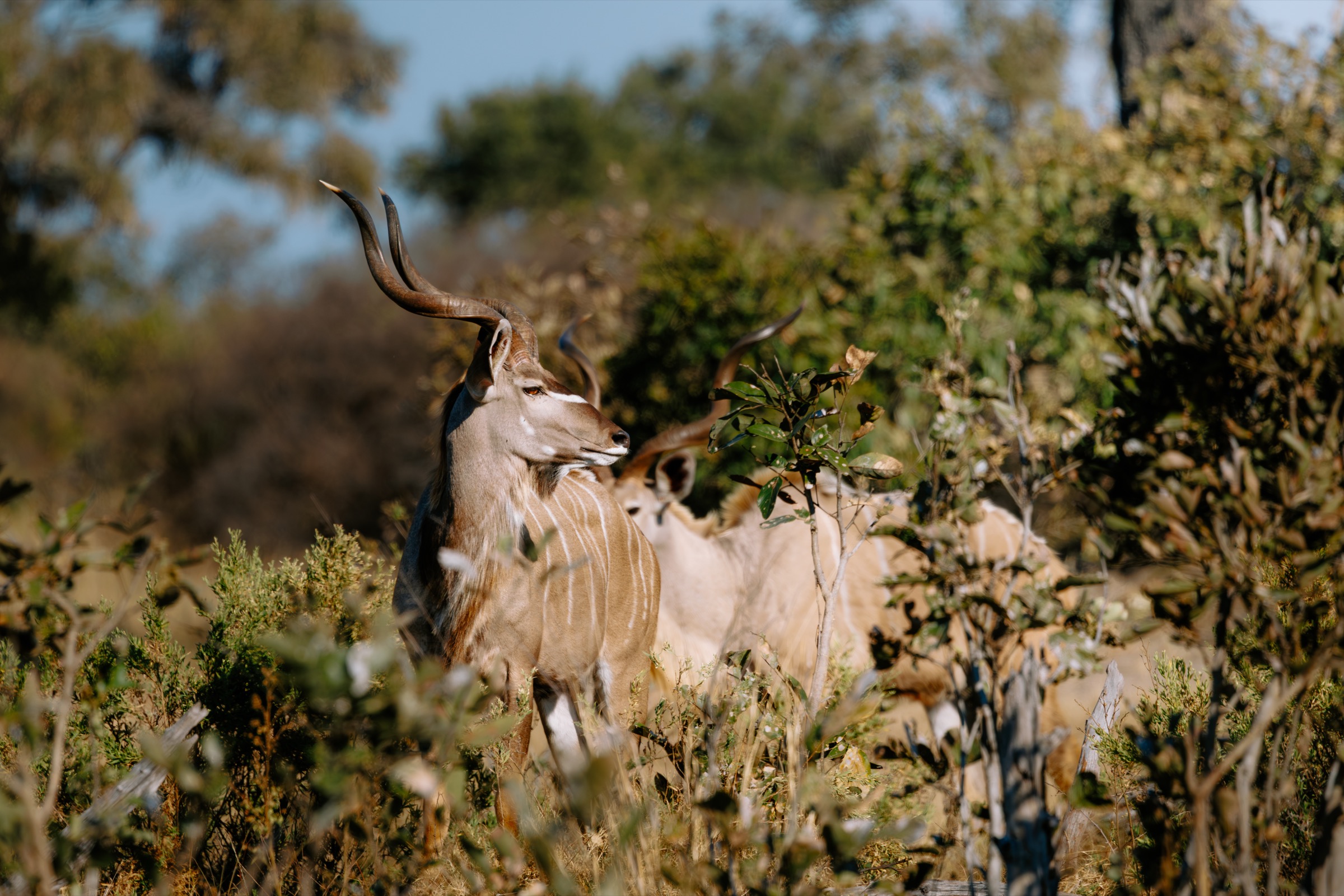 Botswana