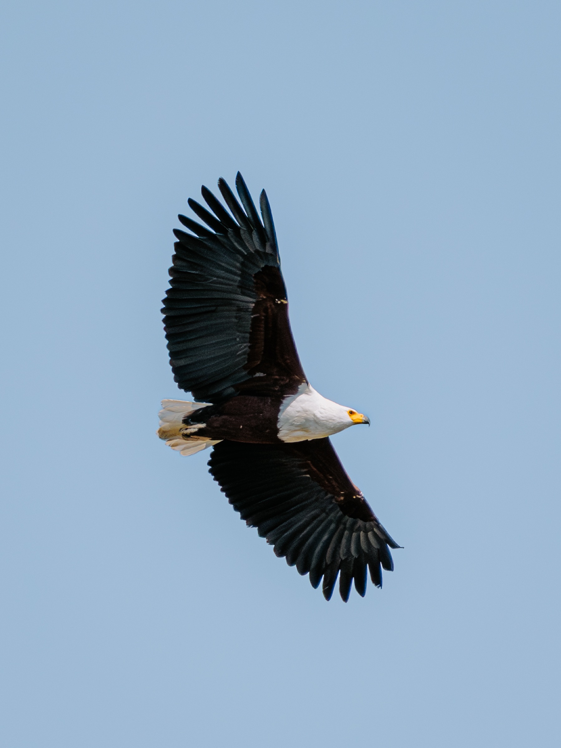 Botswana