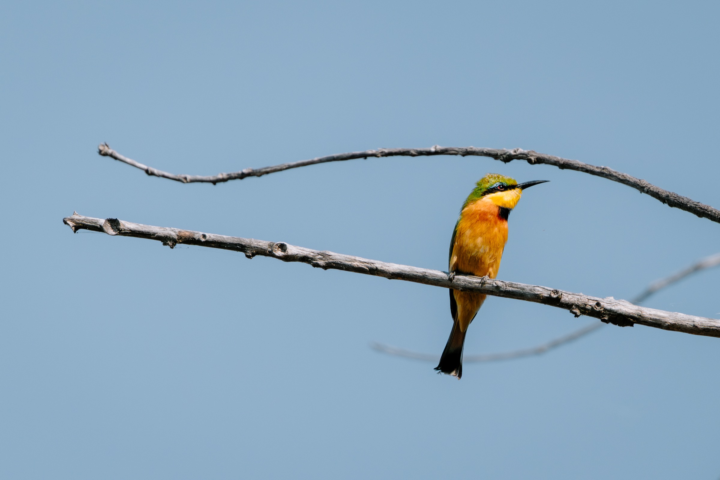 Botswana