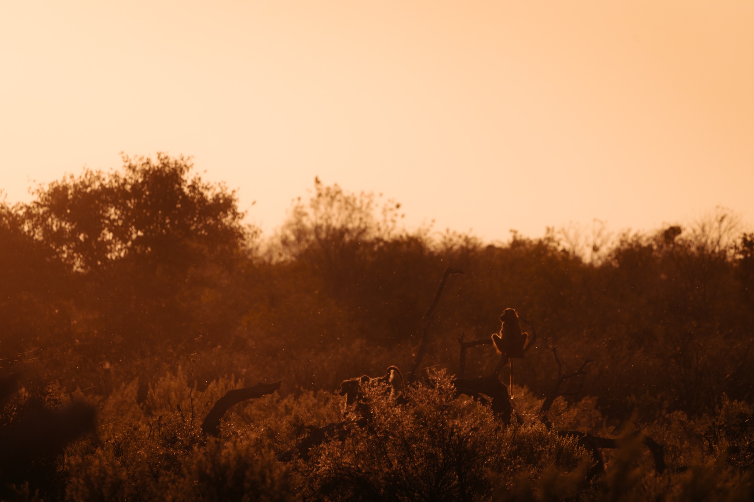 Botswana