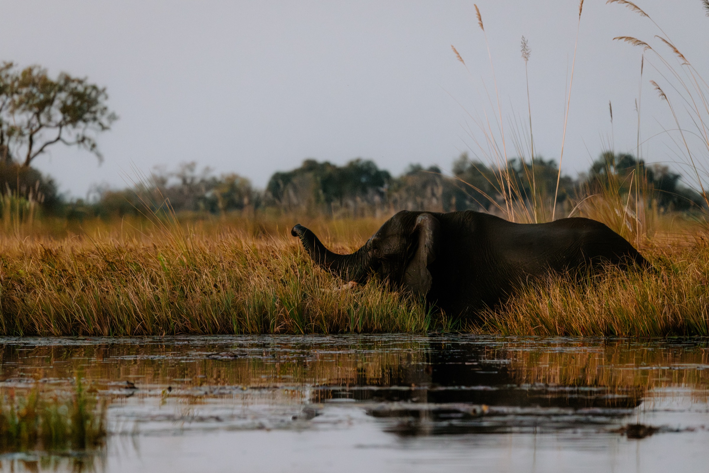 Botswana