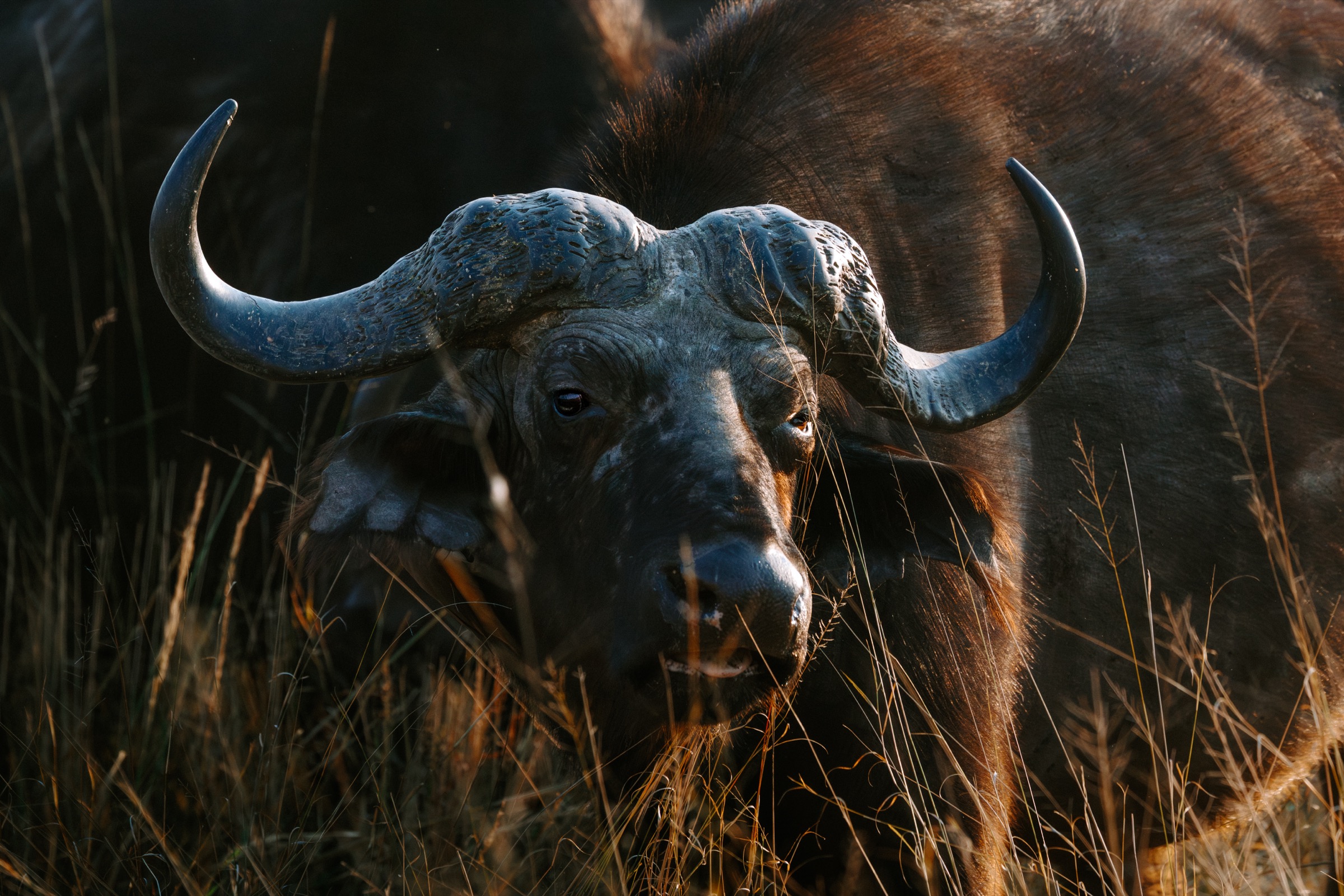 Botswana