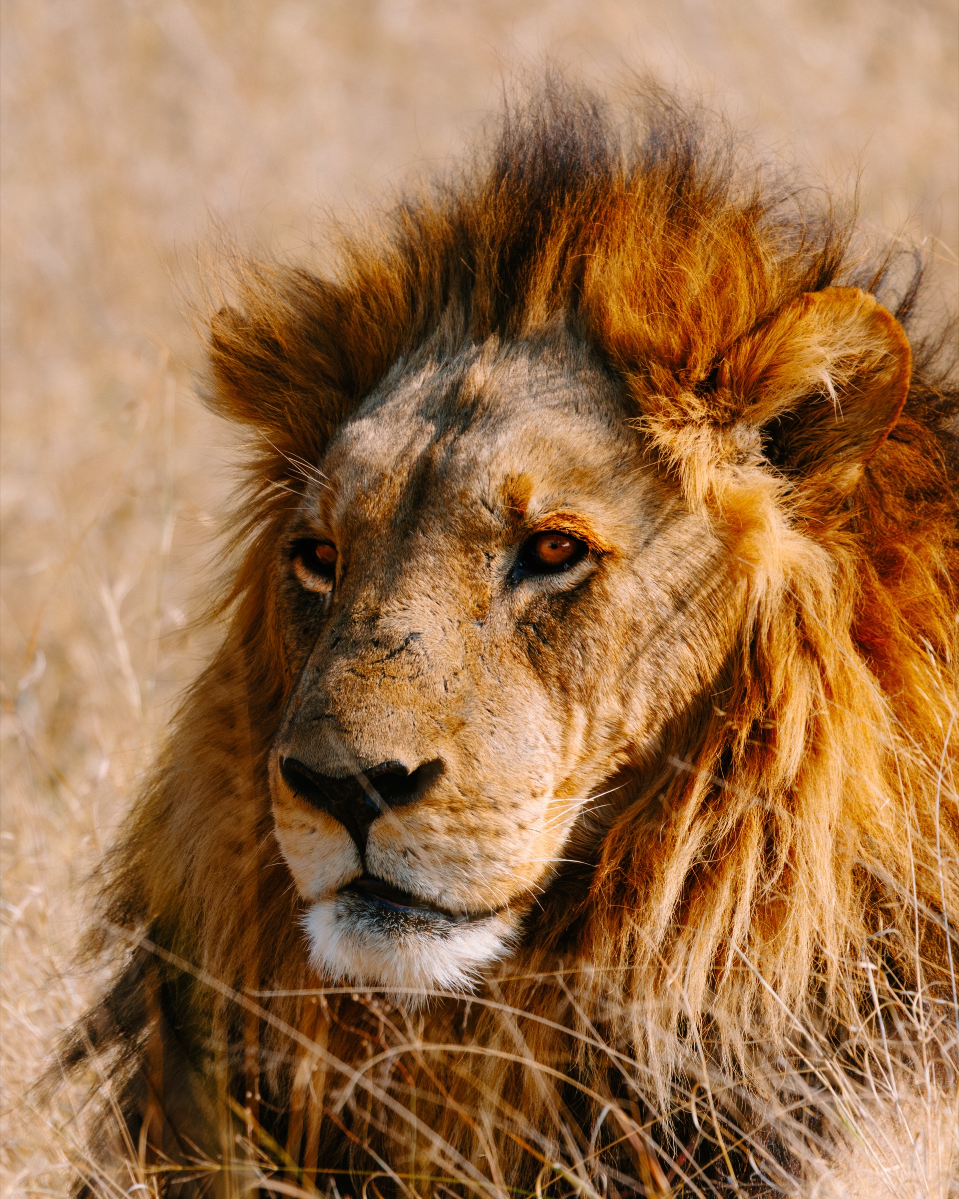 Botswana