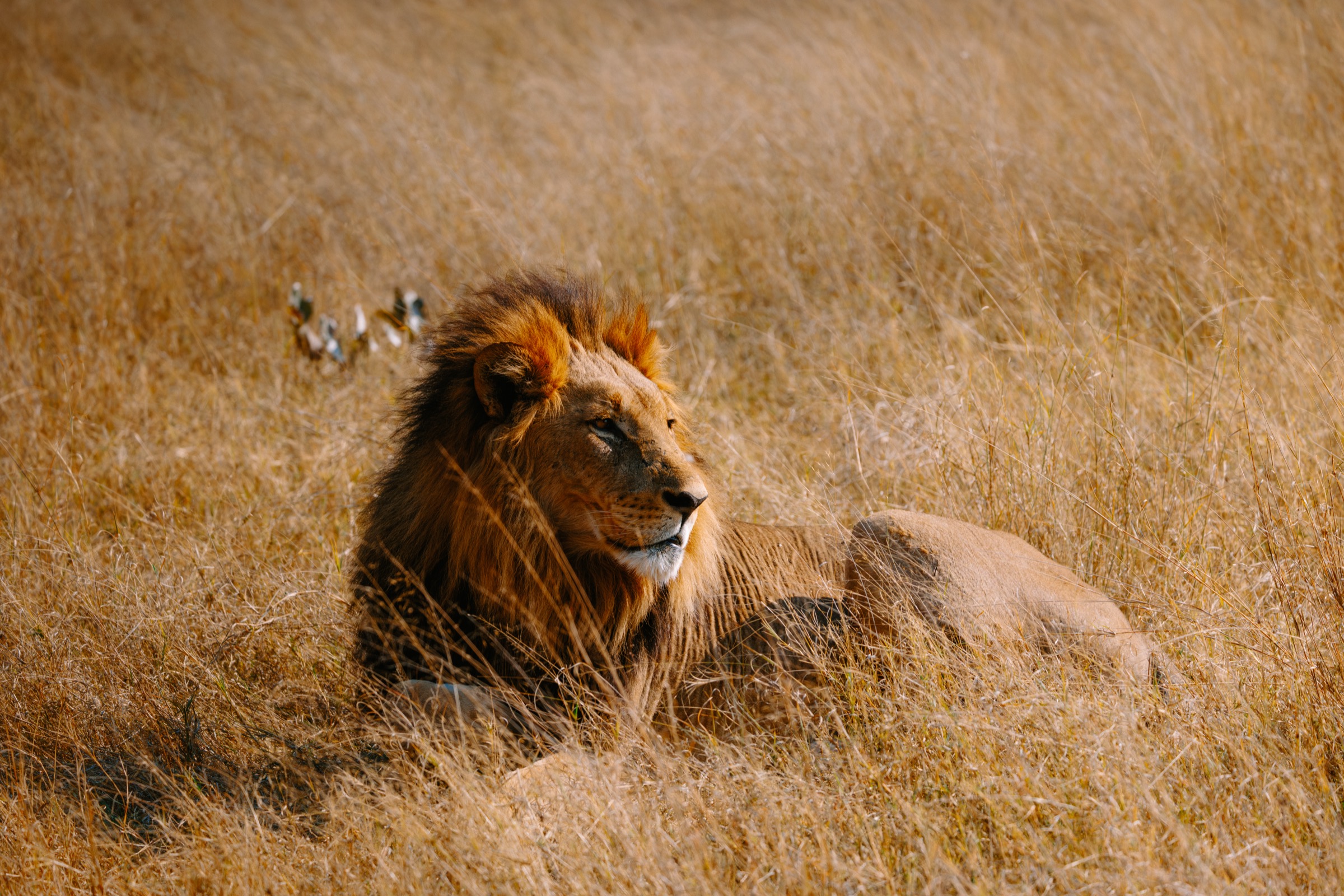 Botswana