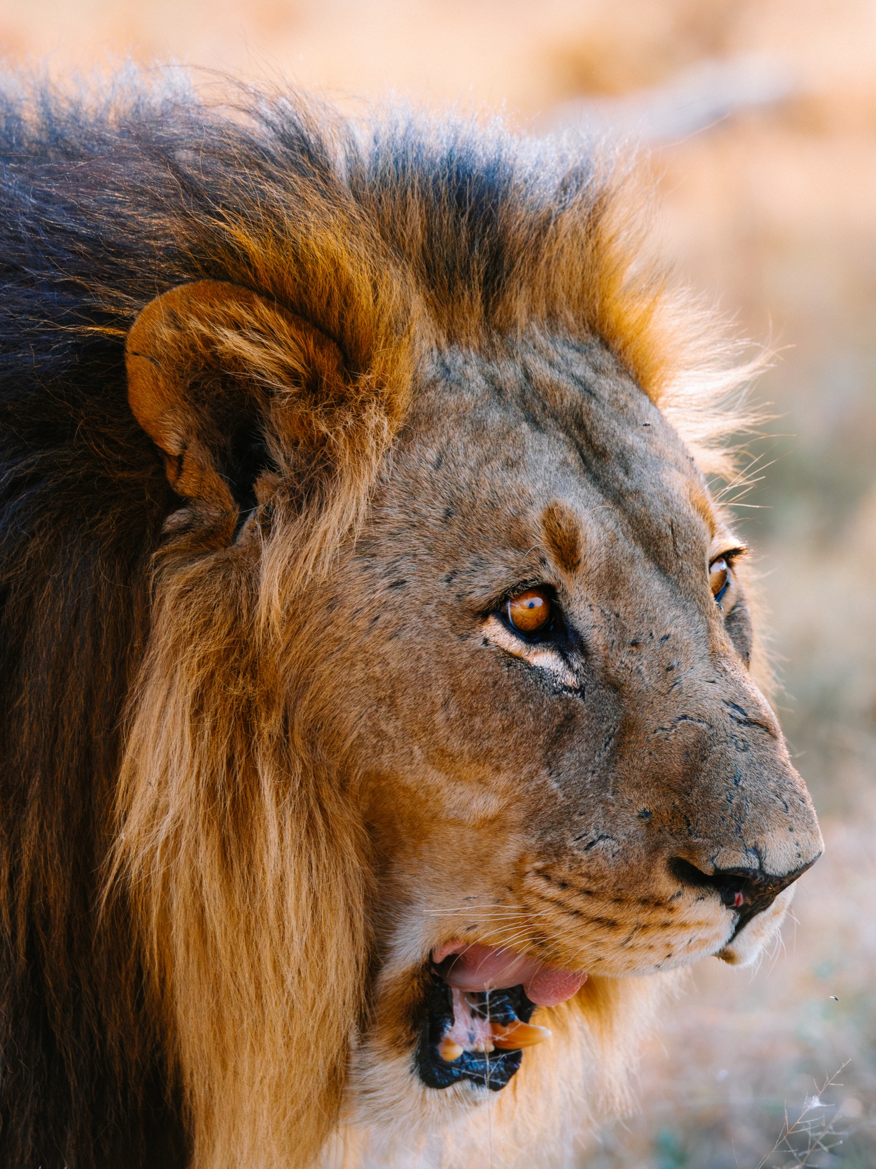 Botswana