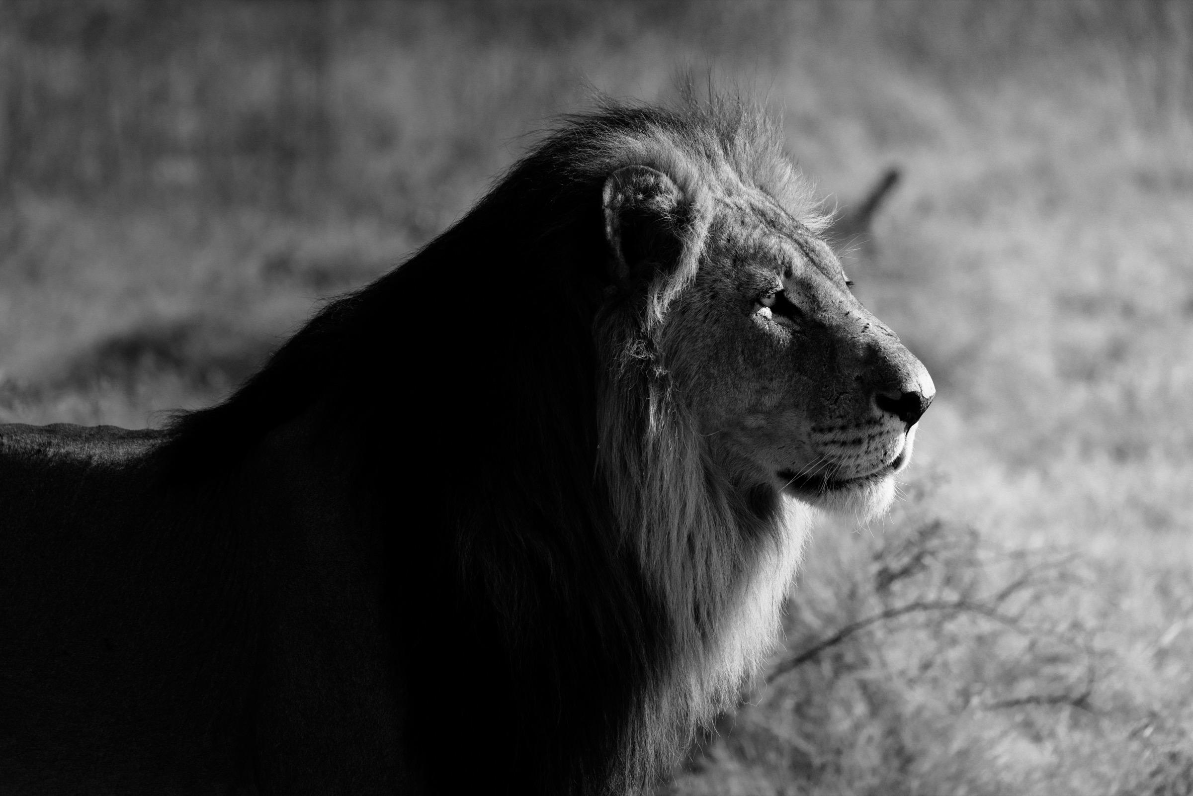 Botswana