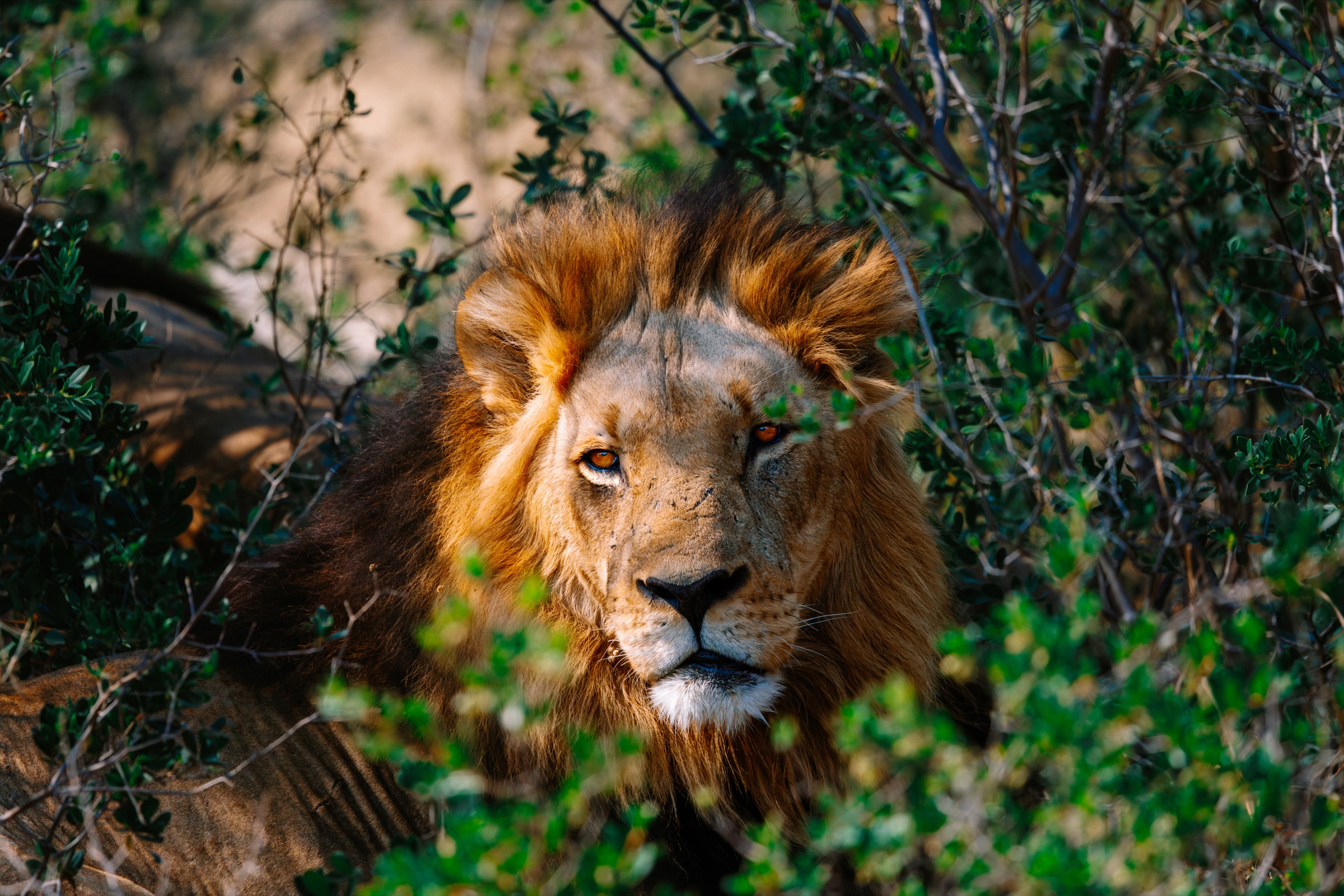Botswana
