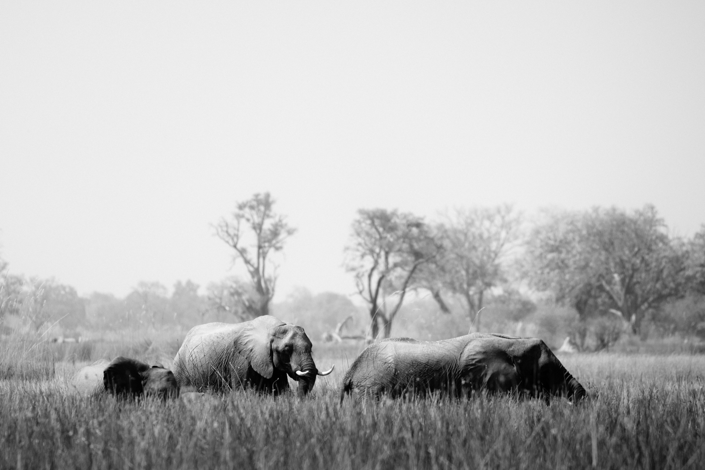 Botswana