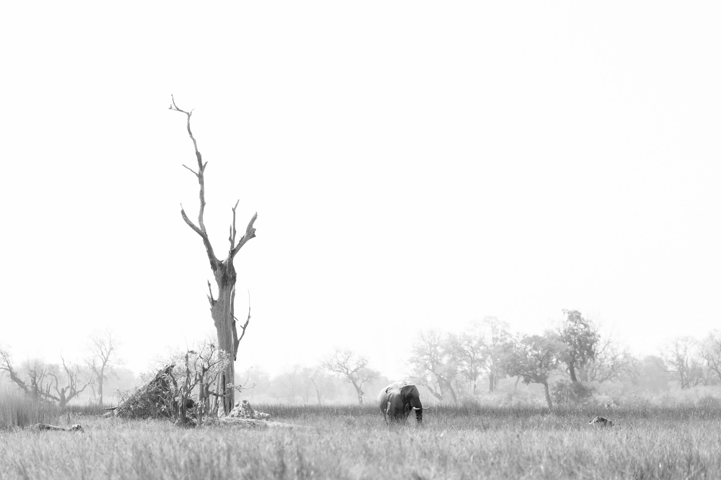 Botswana
