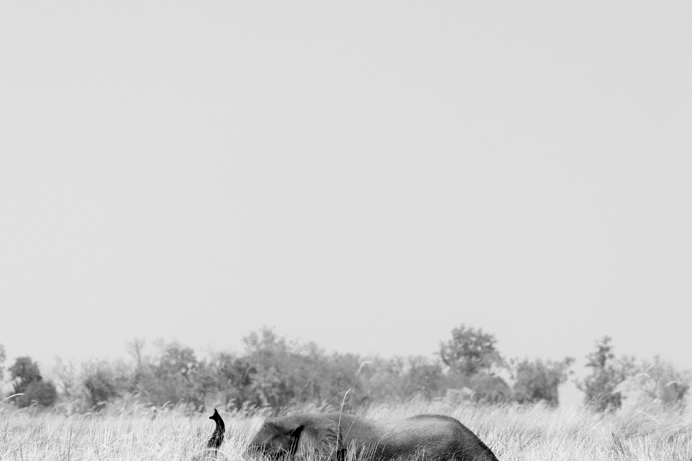Botswana