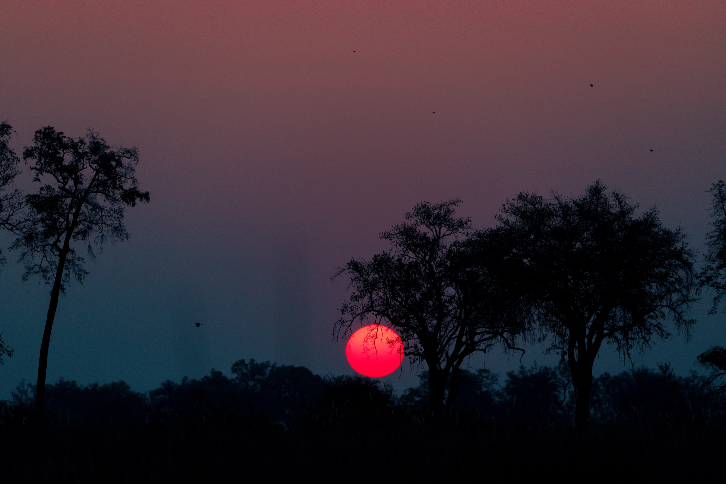 Botswana