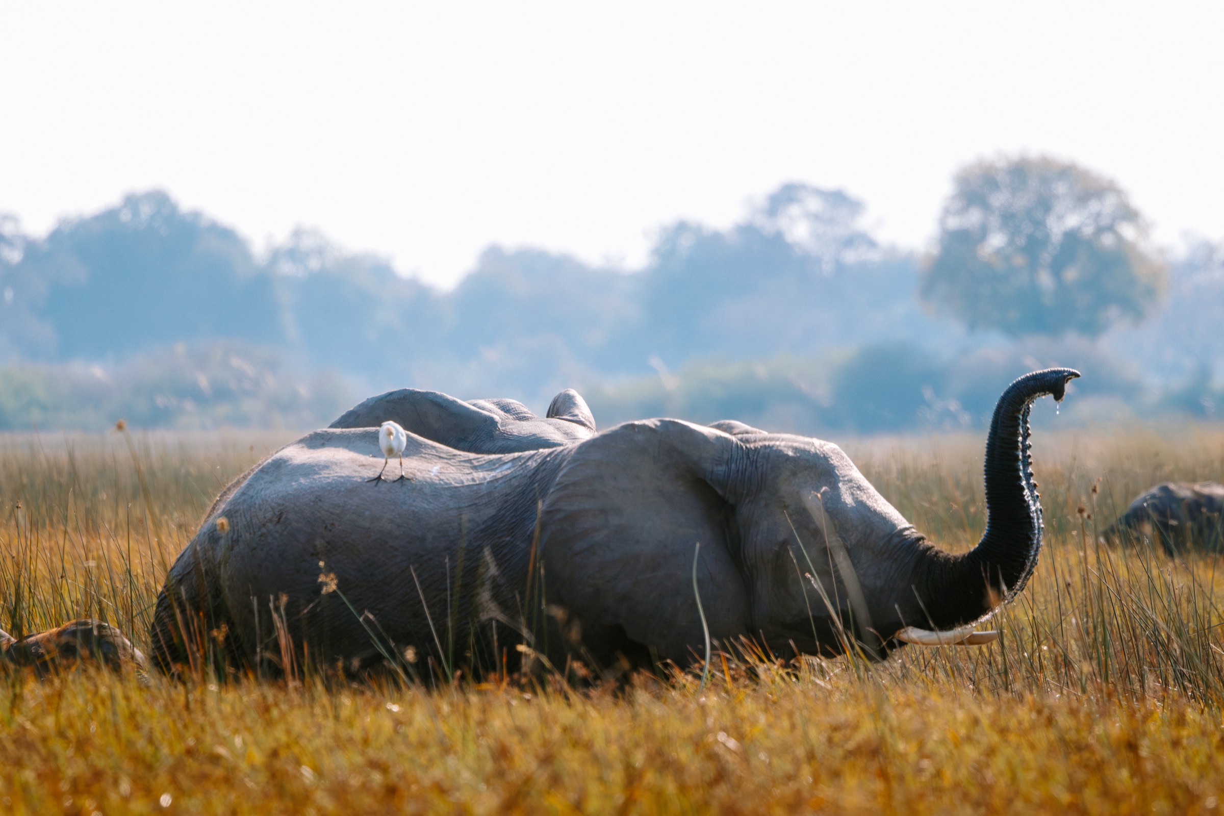 Botswana