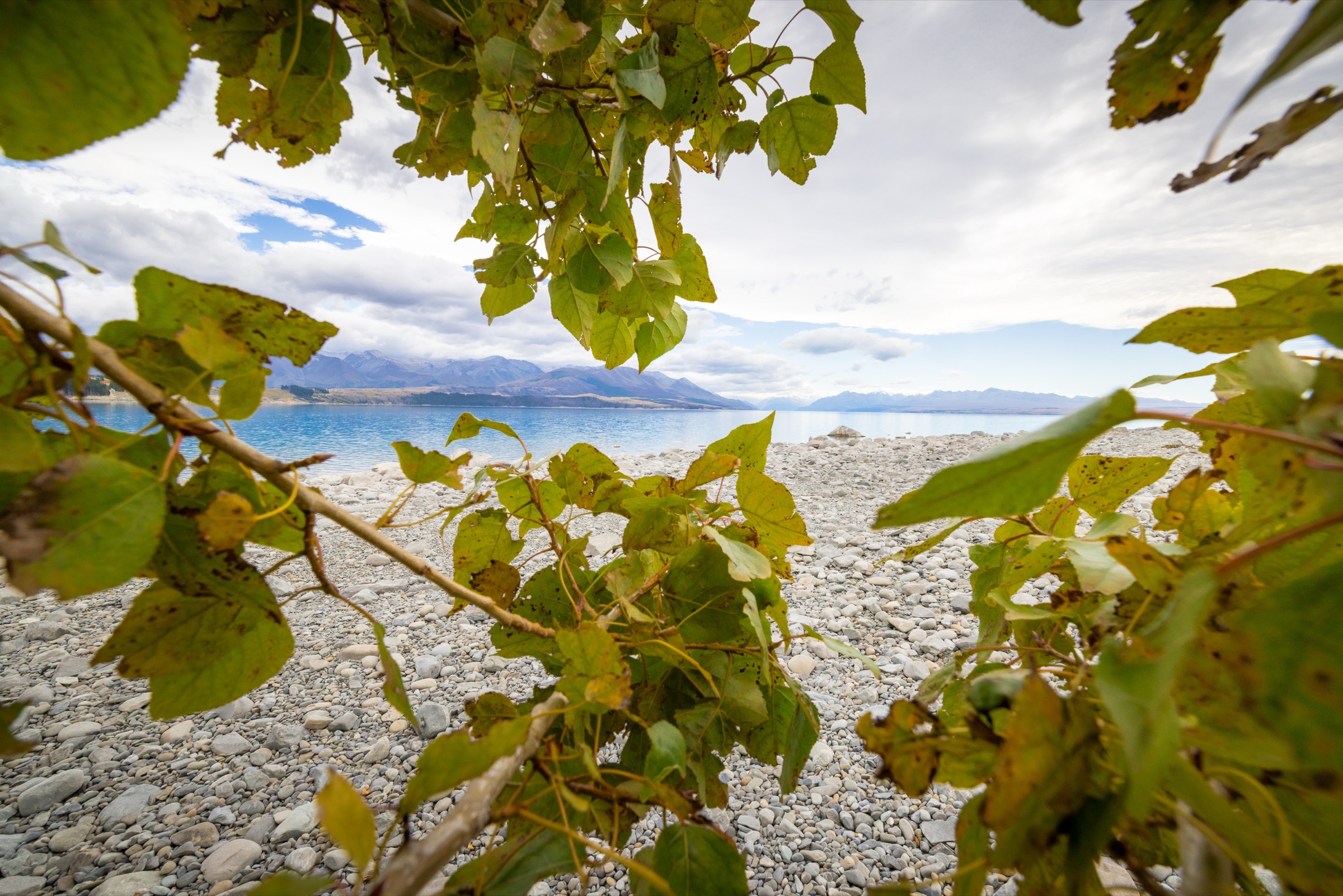 New Zealand