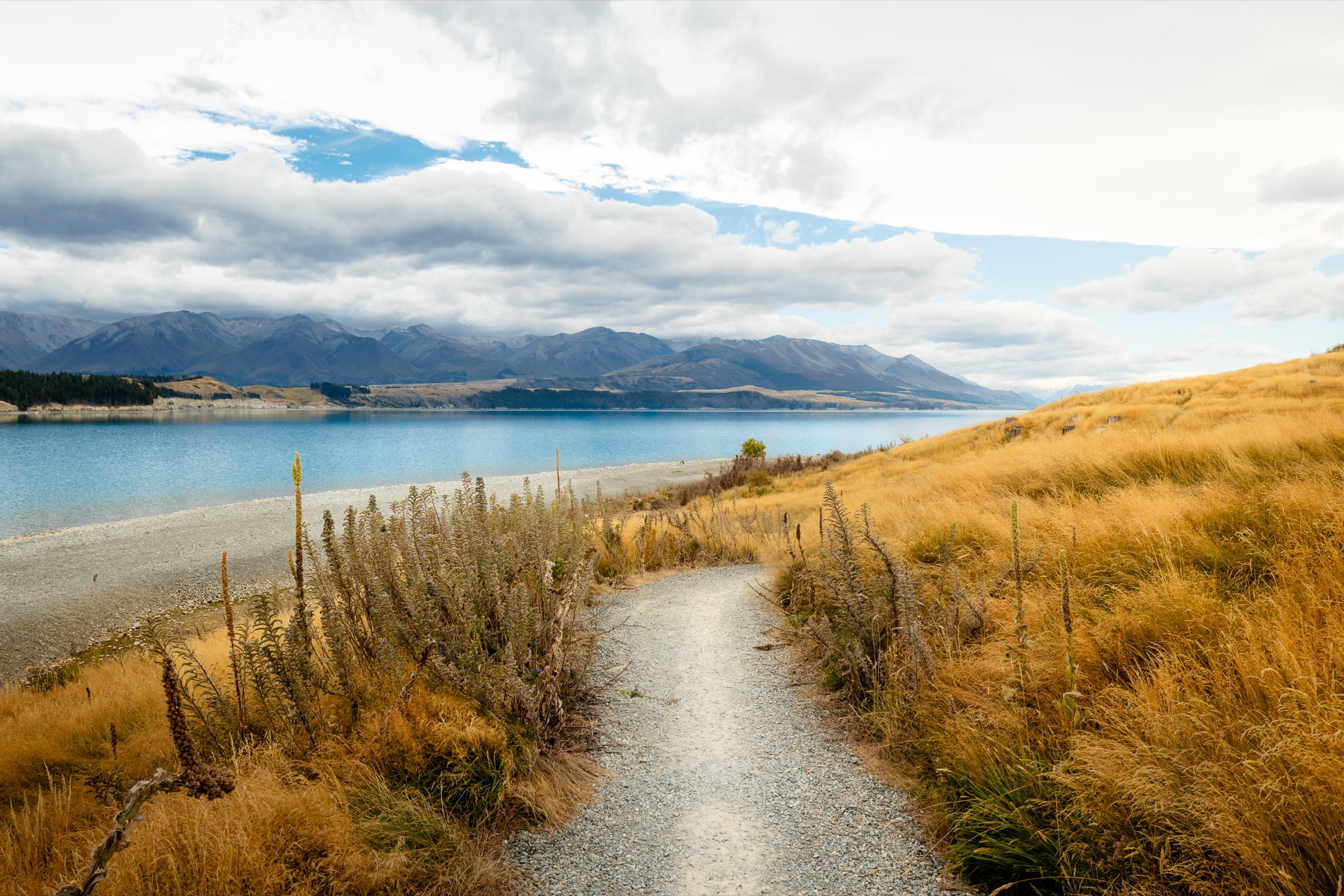 New Zealand