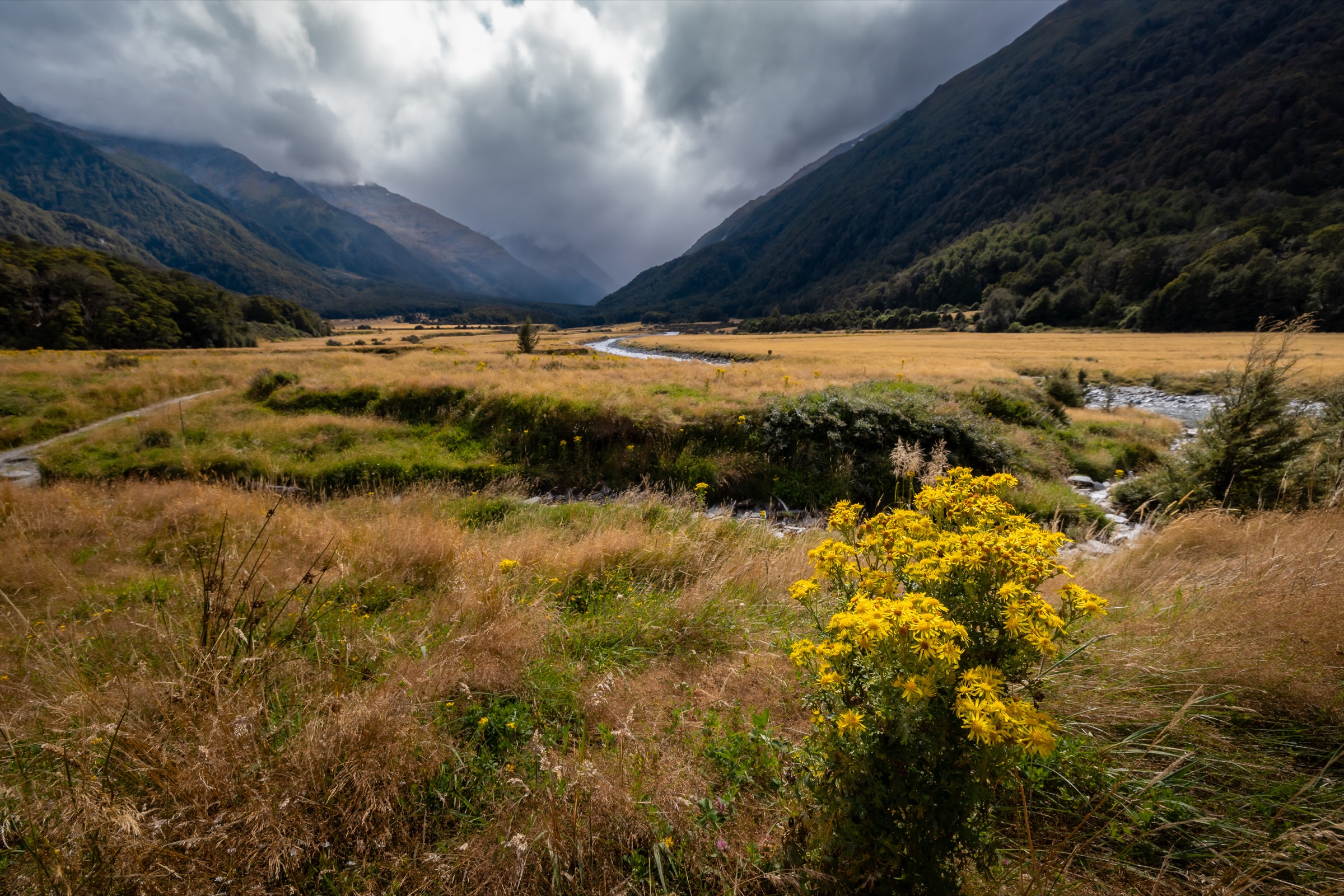 New Zealand