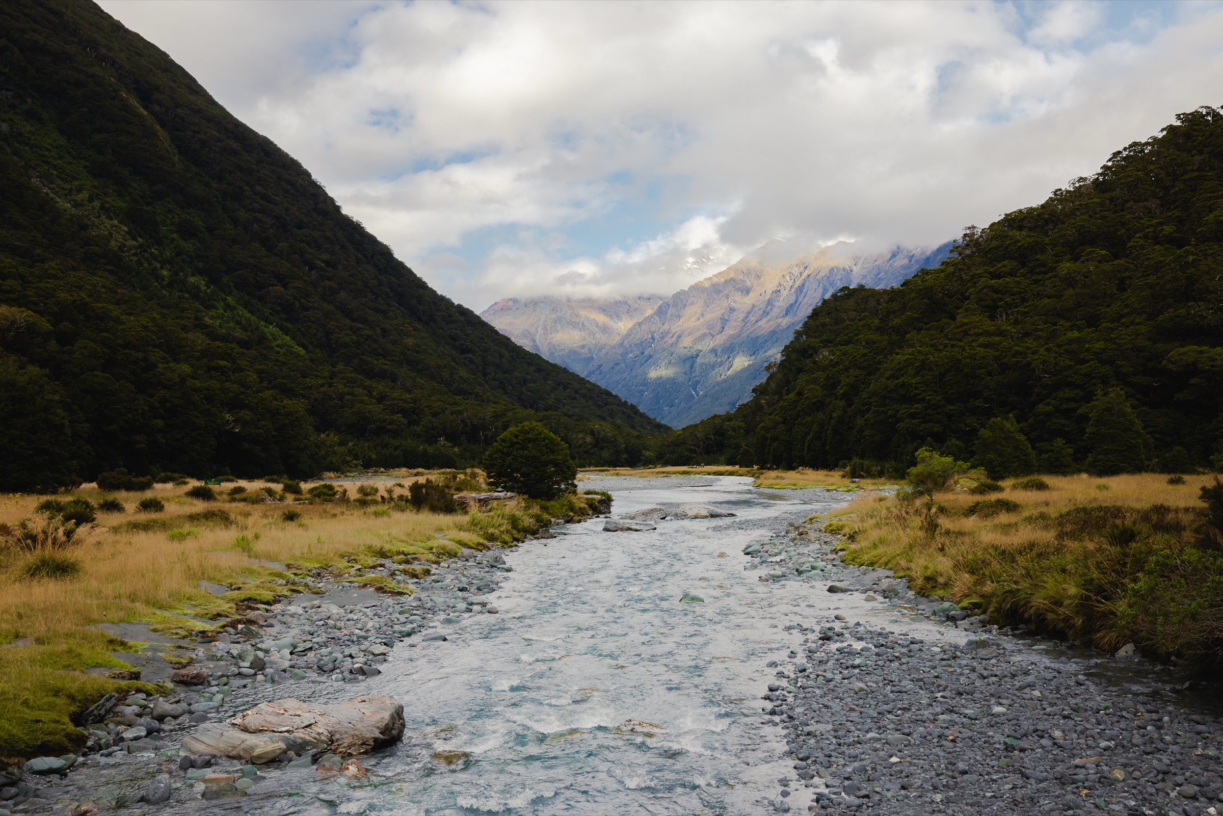 New Zealand