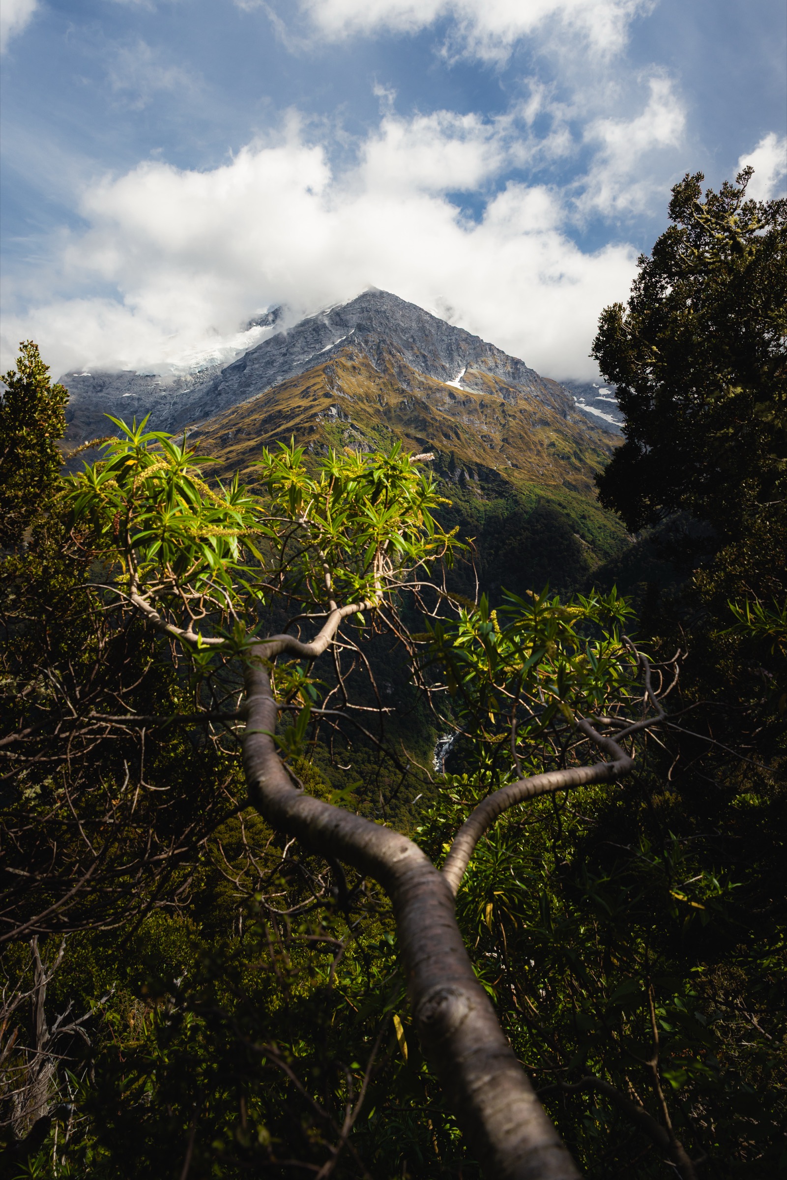 New Zealand