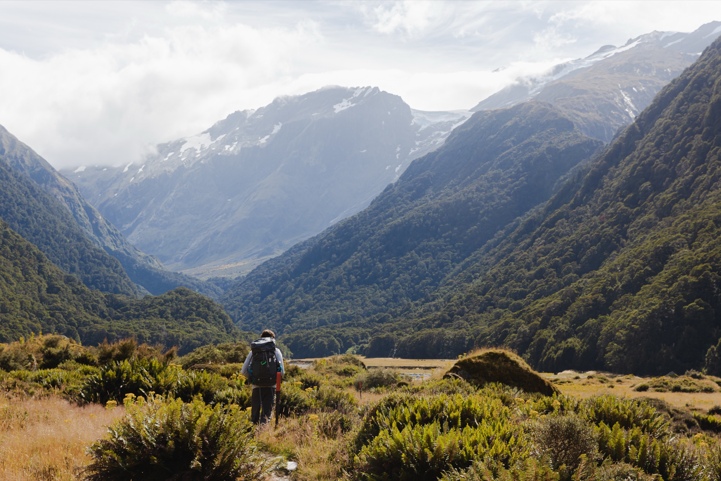 New Zealand
