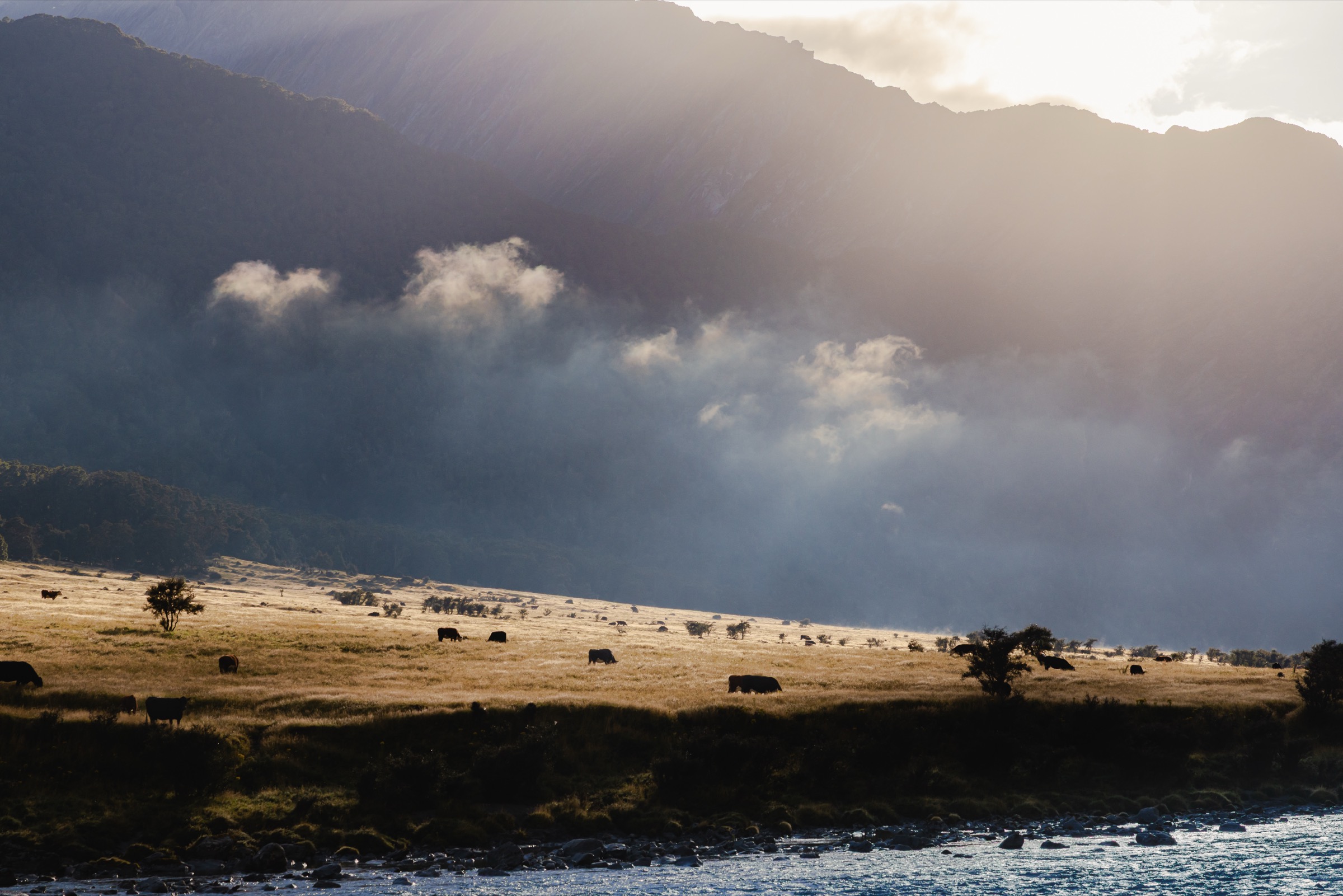 New Zealand