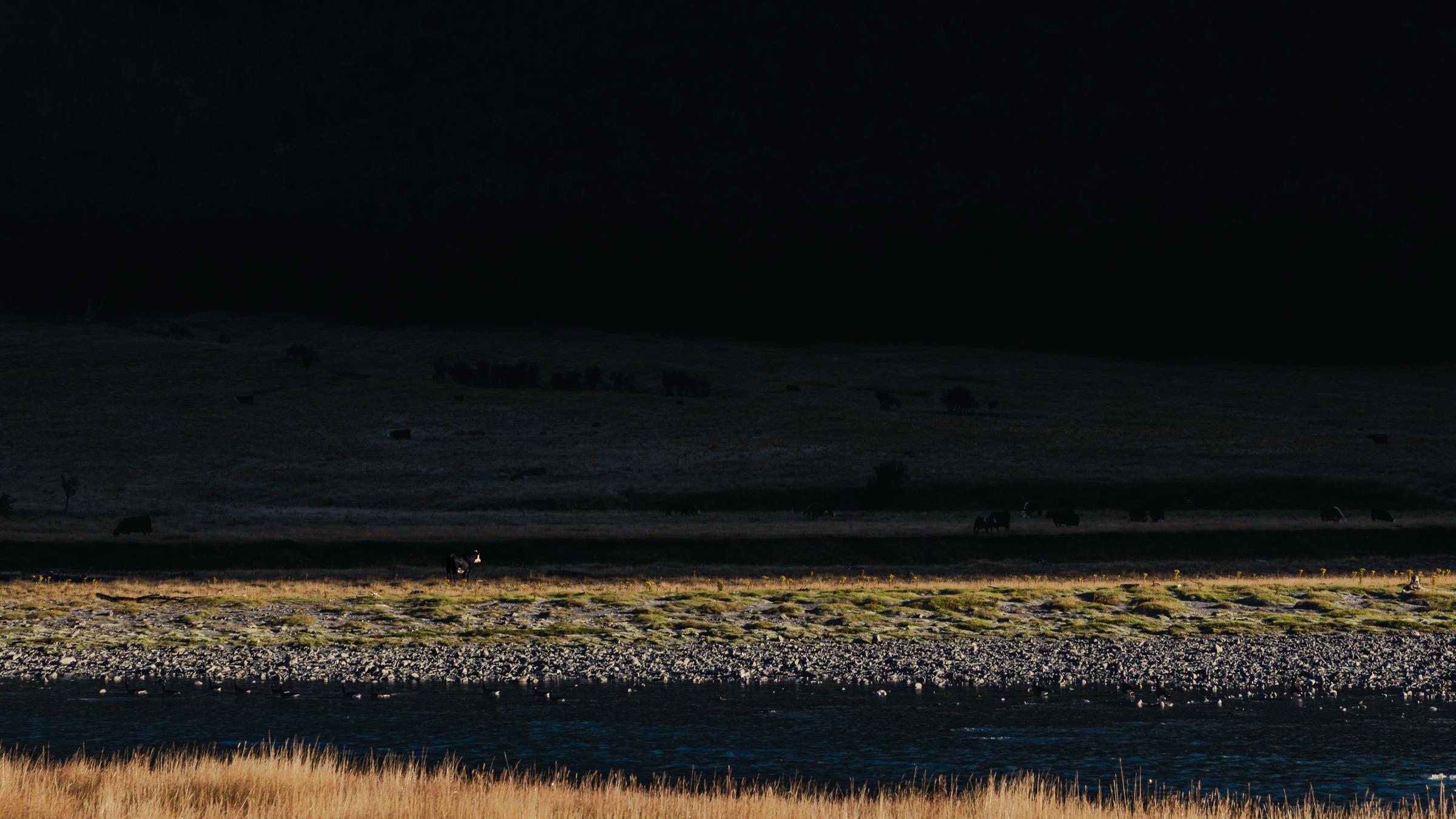 New Zealand