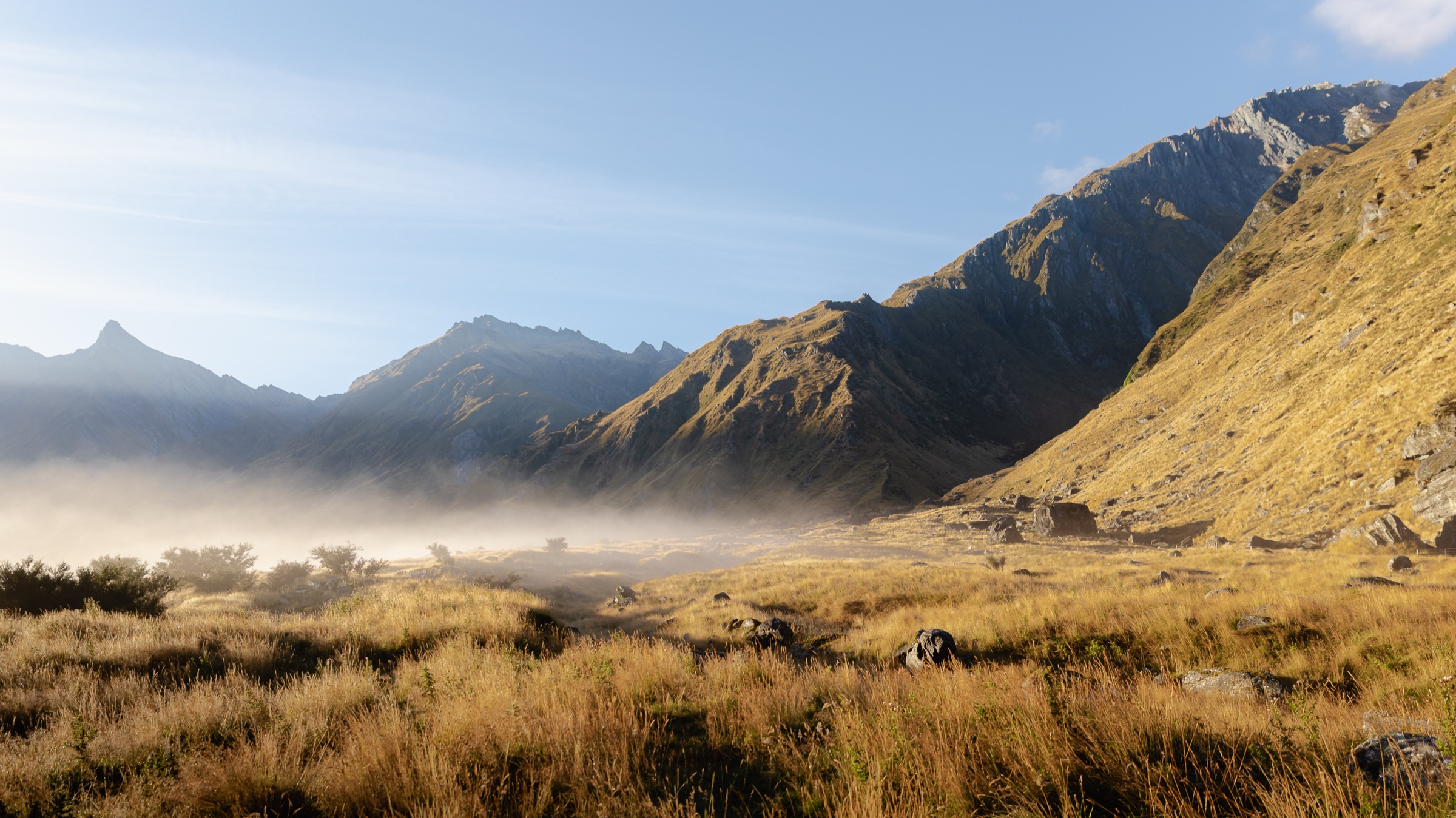 New Zealand