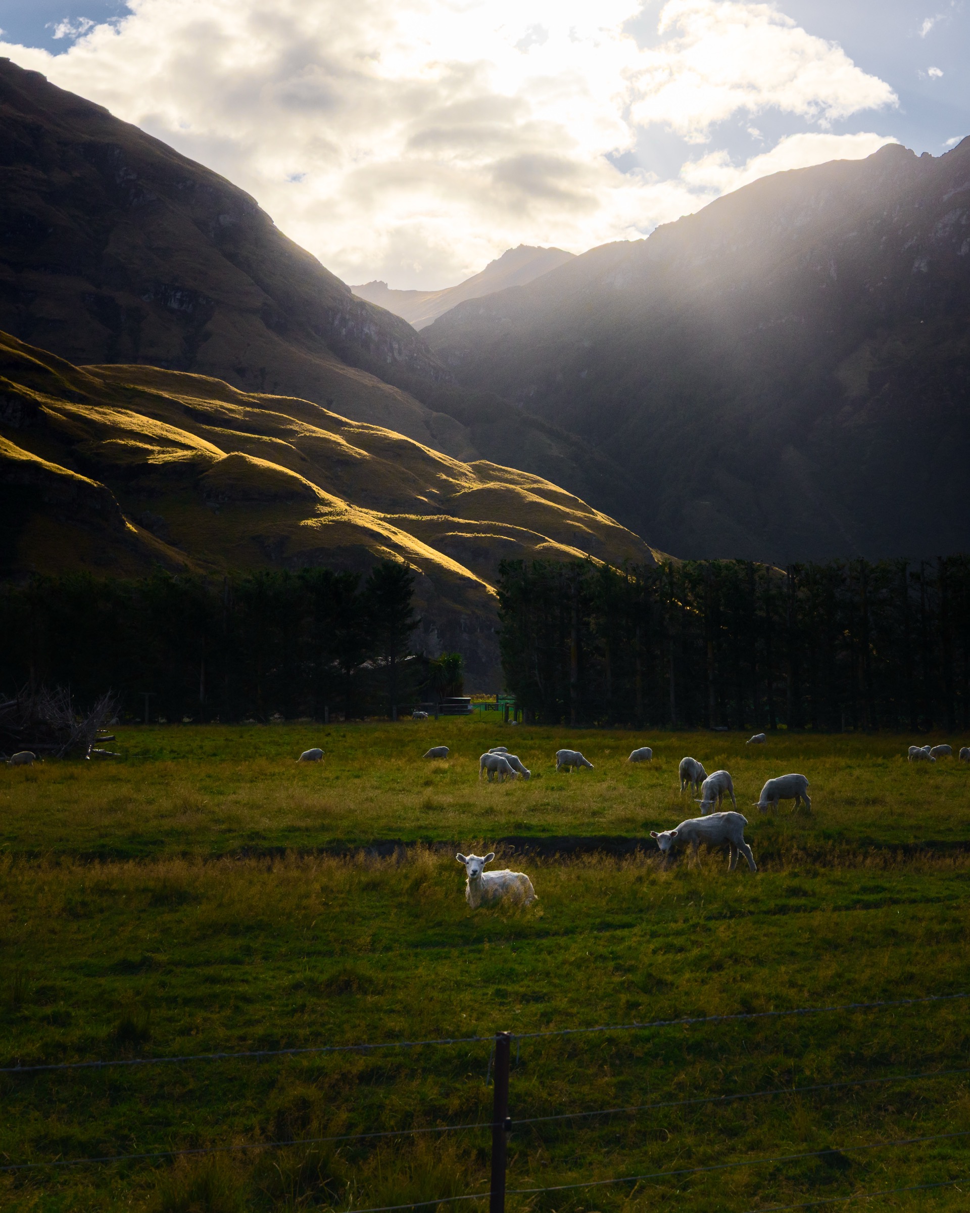 New Zealand