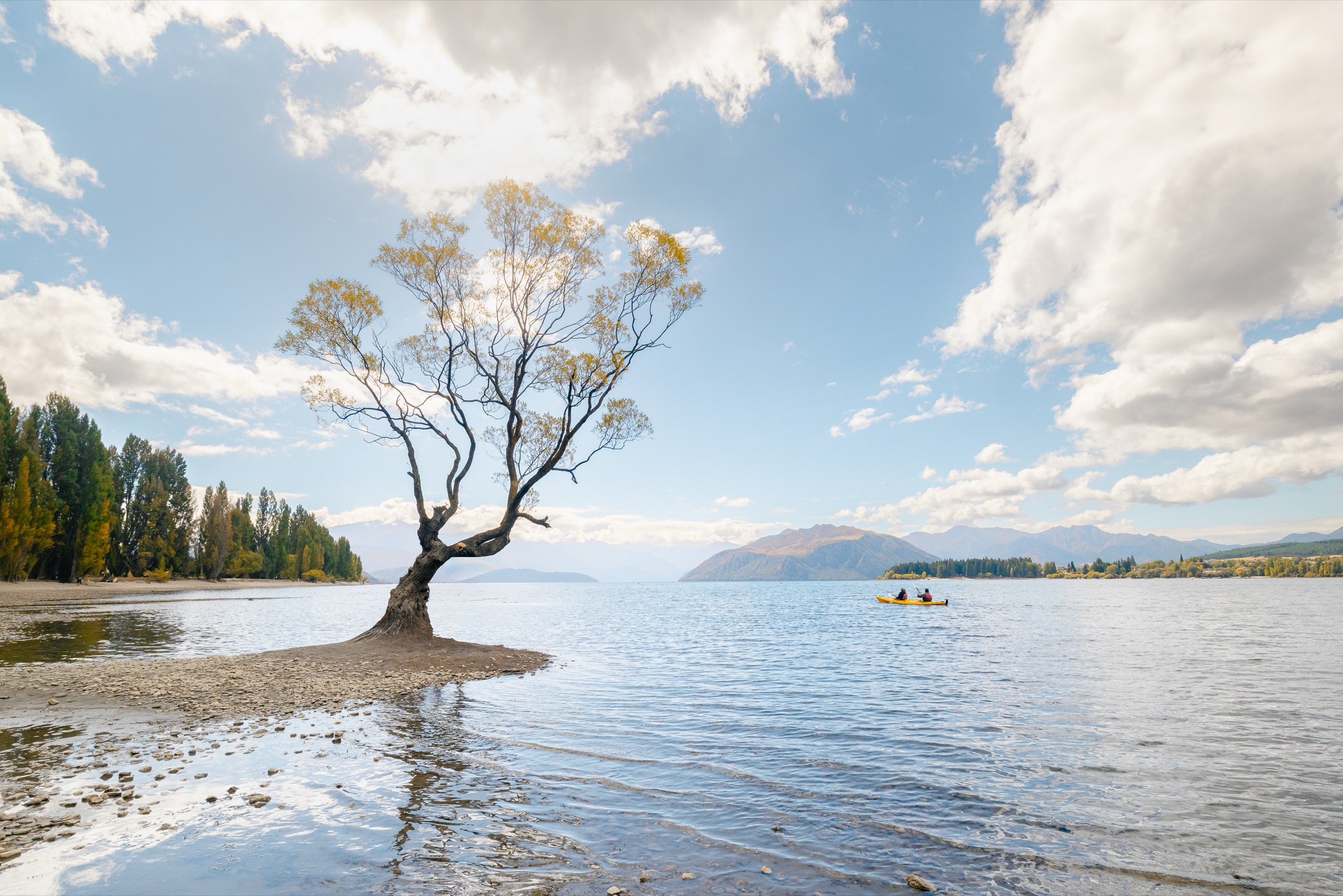 New Zealand