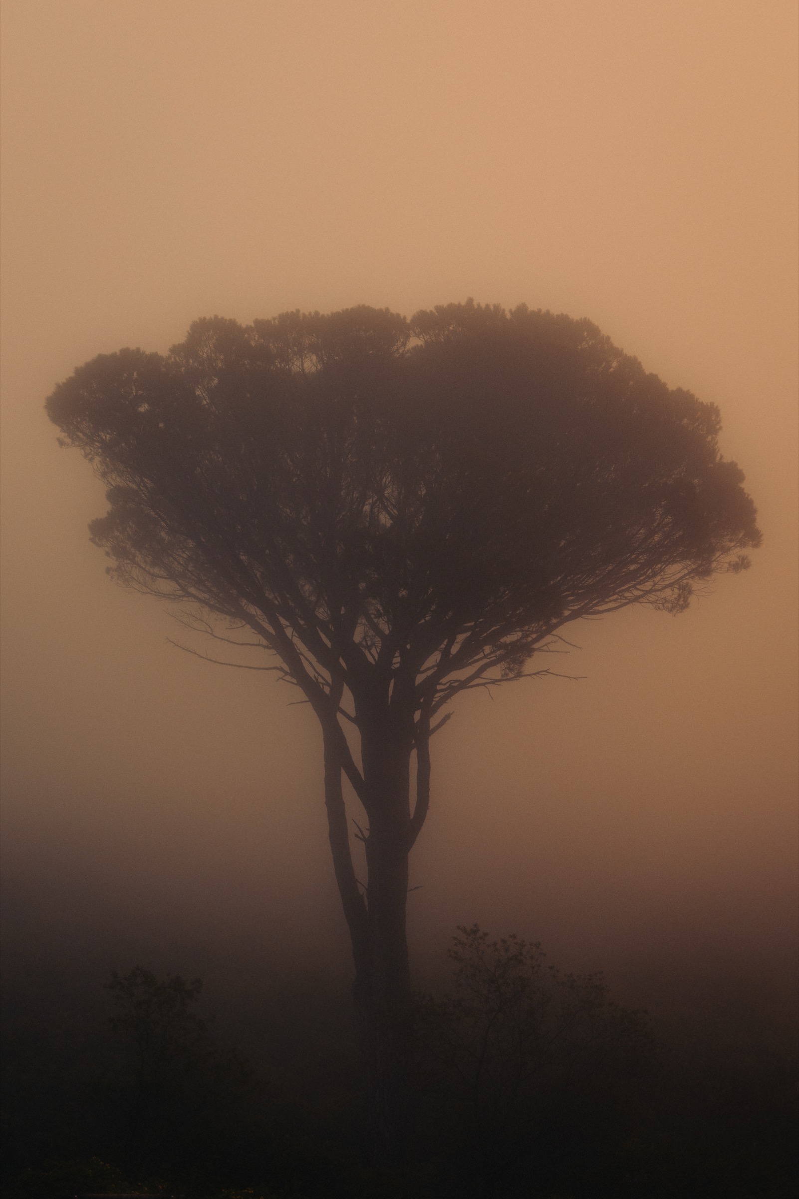 South Africa