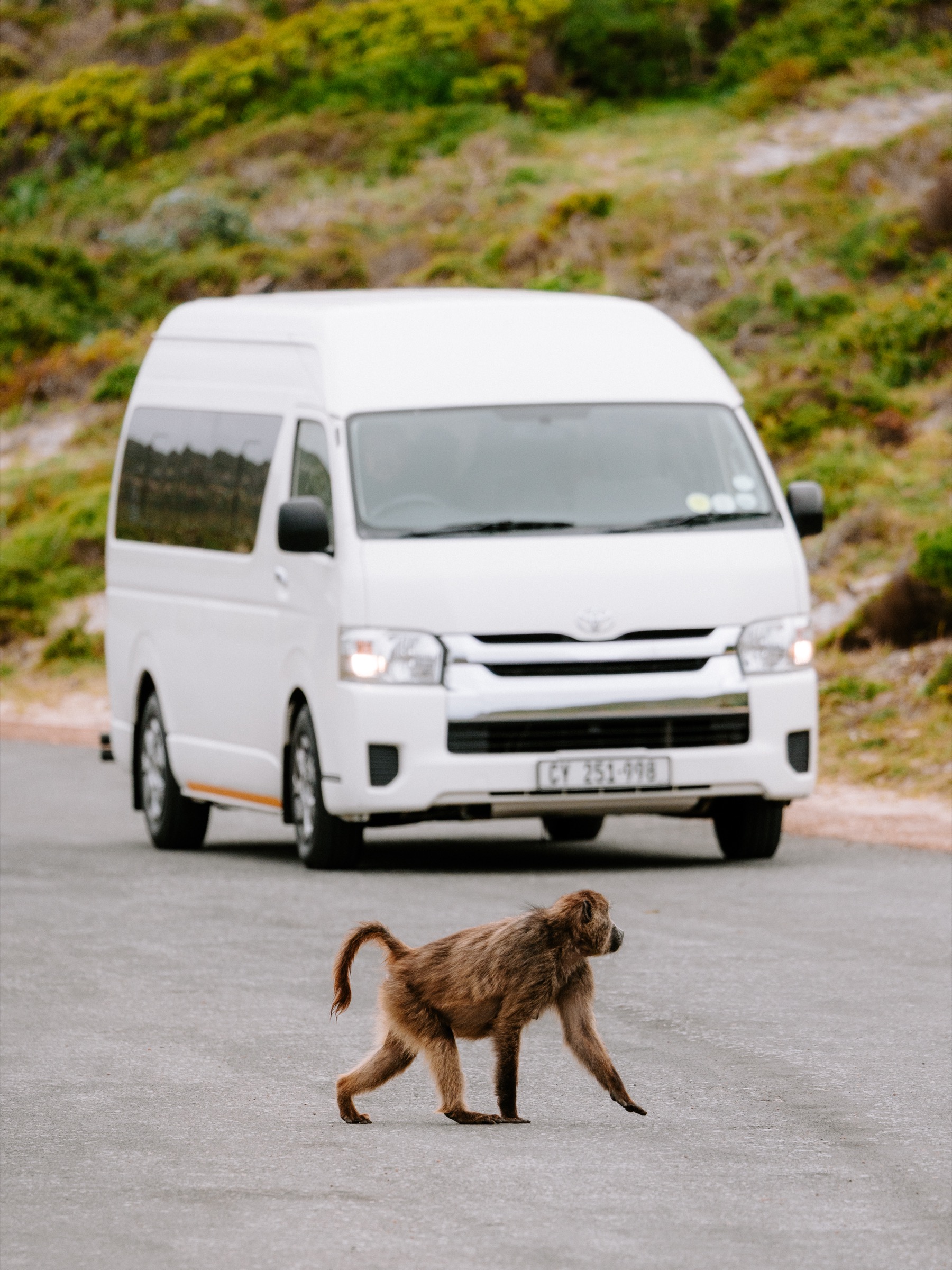 South Africa