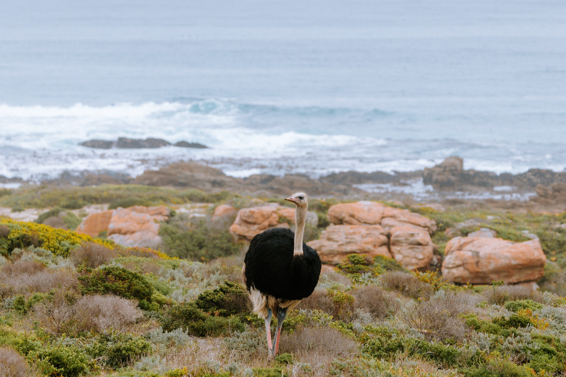 South Africa