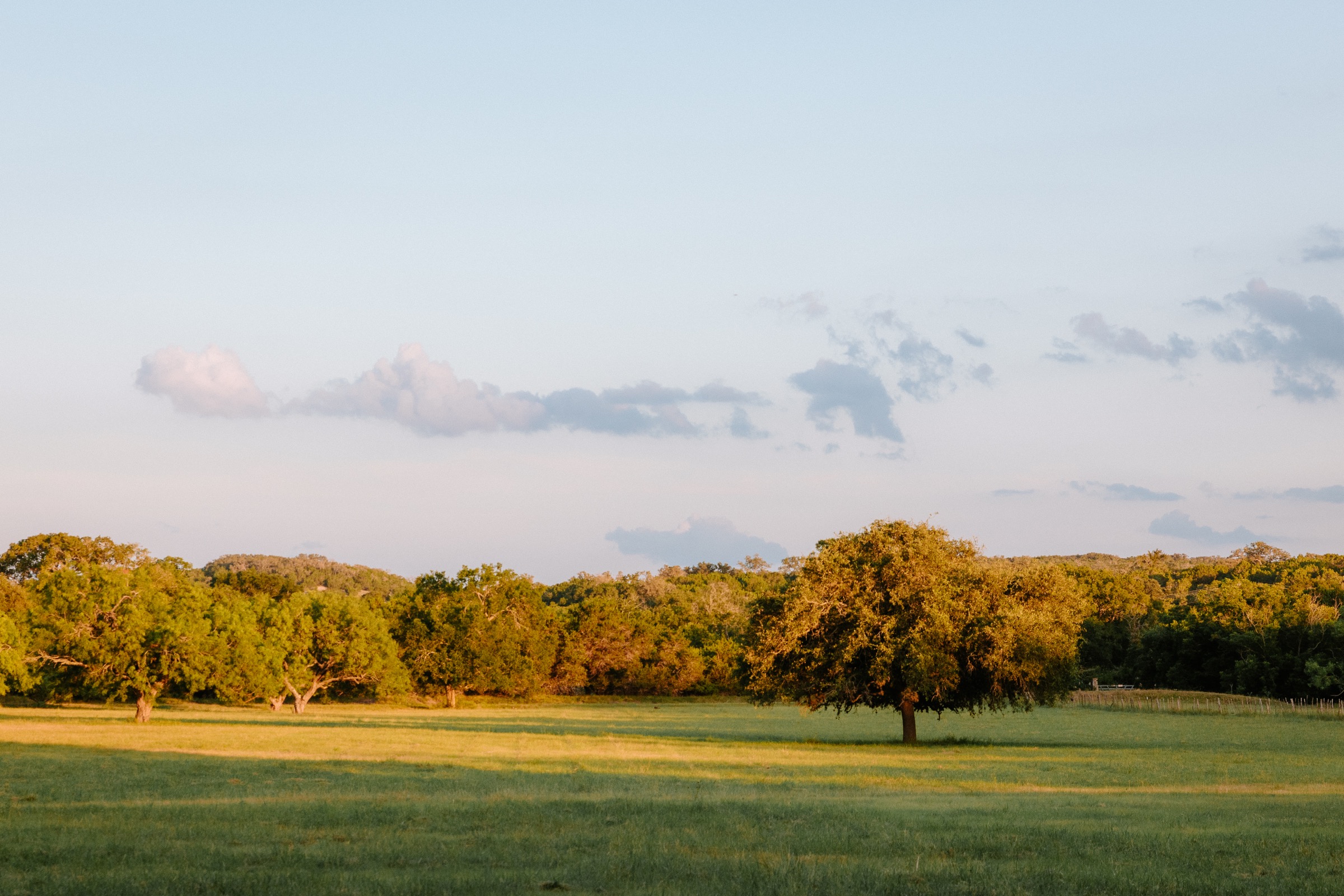 Texas — Hill Country field at golden hour