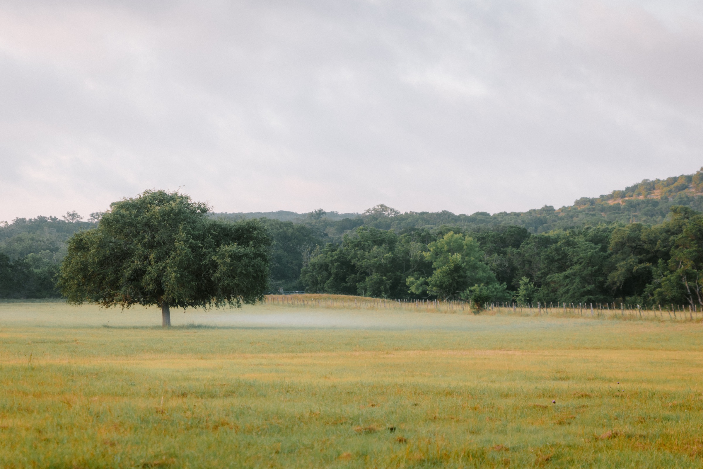 Texas