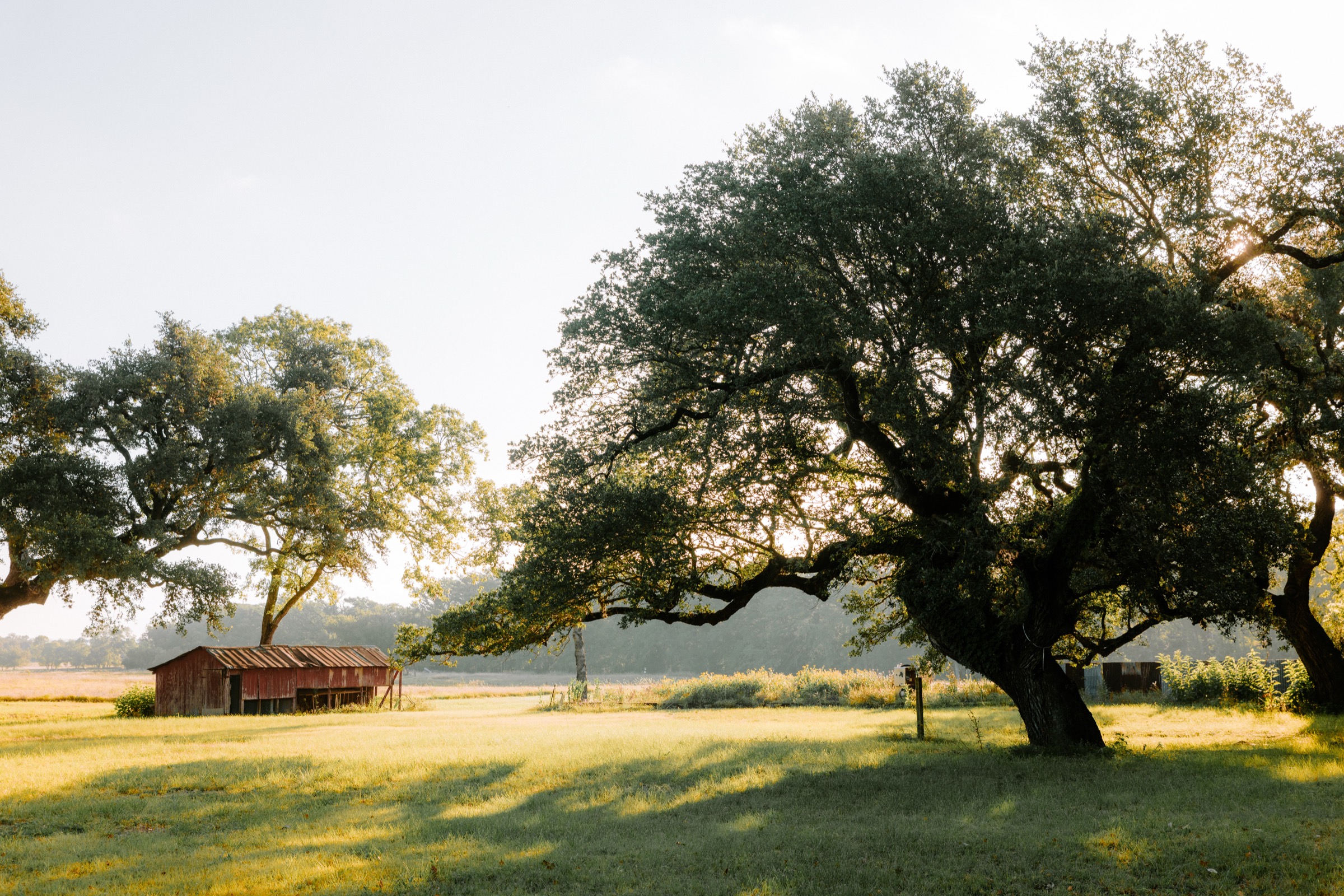 Texas — ranch cabin at golden hour