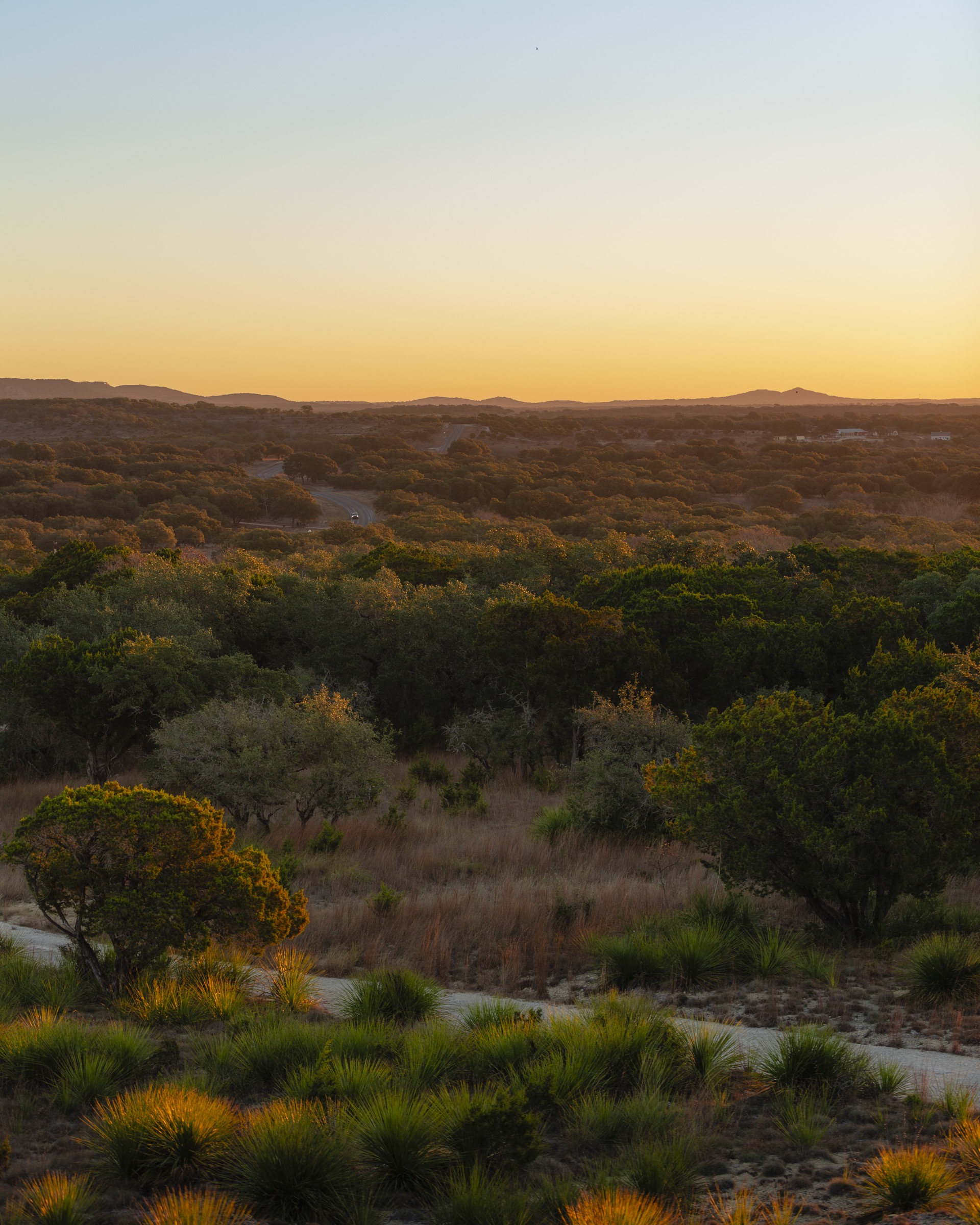 Texas