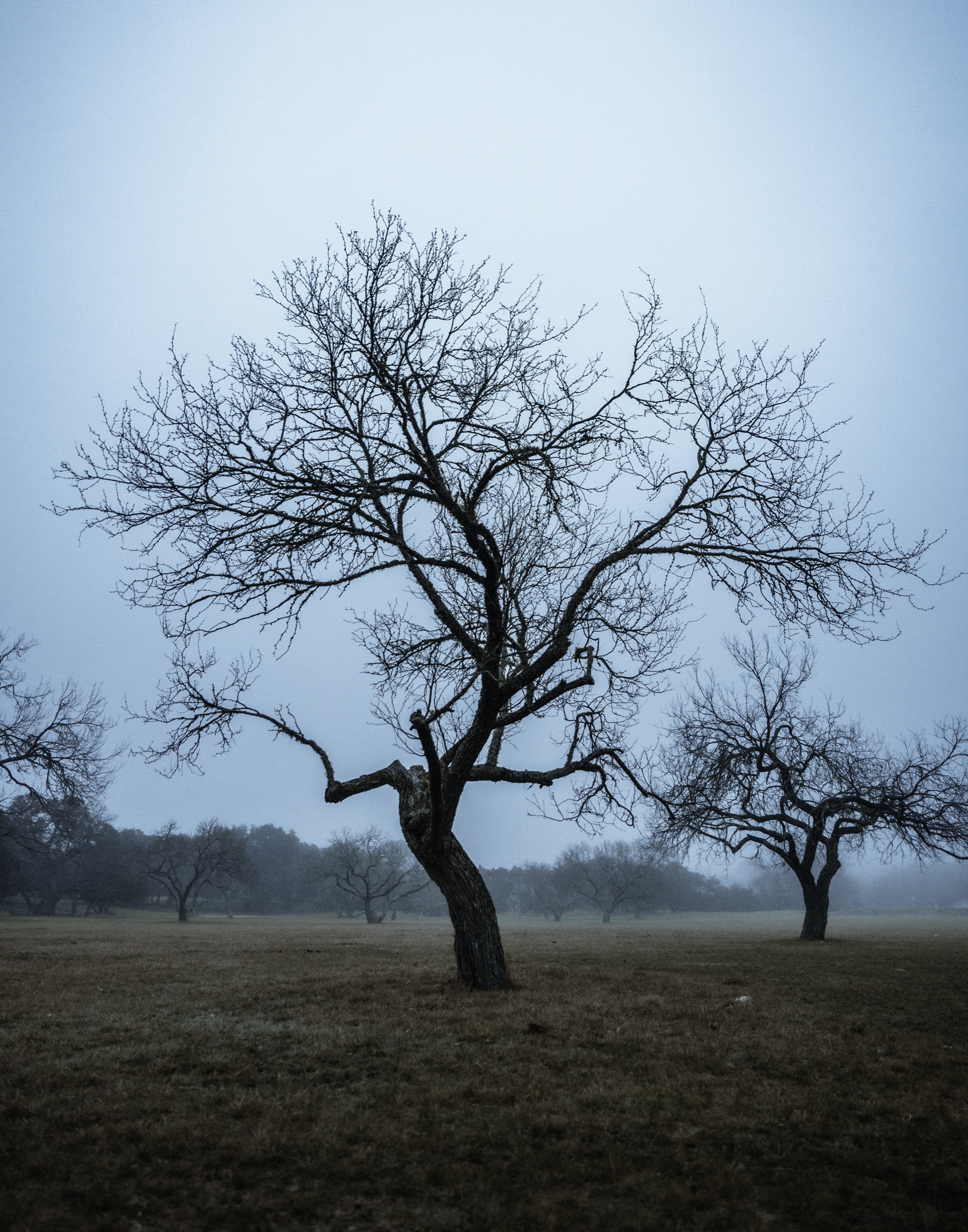 Texas