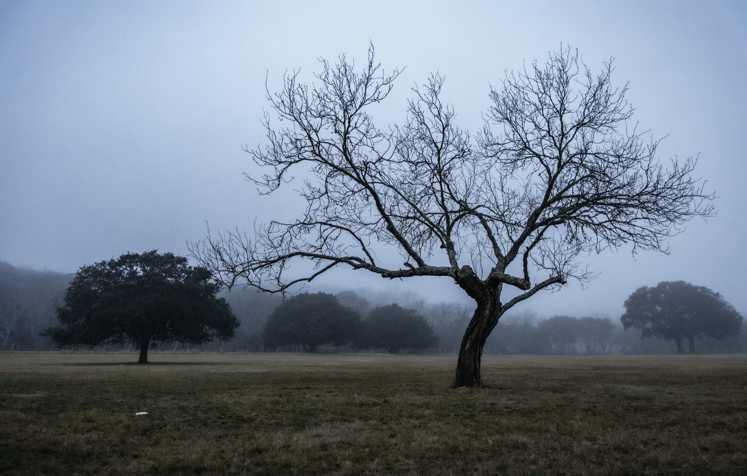 Texas
