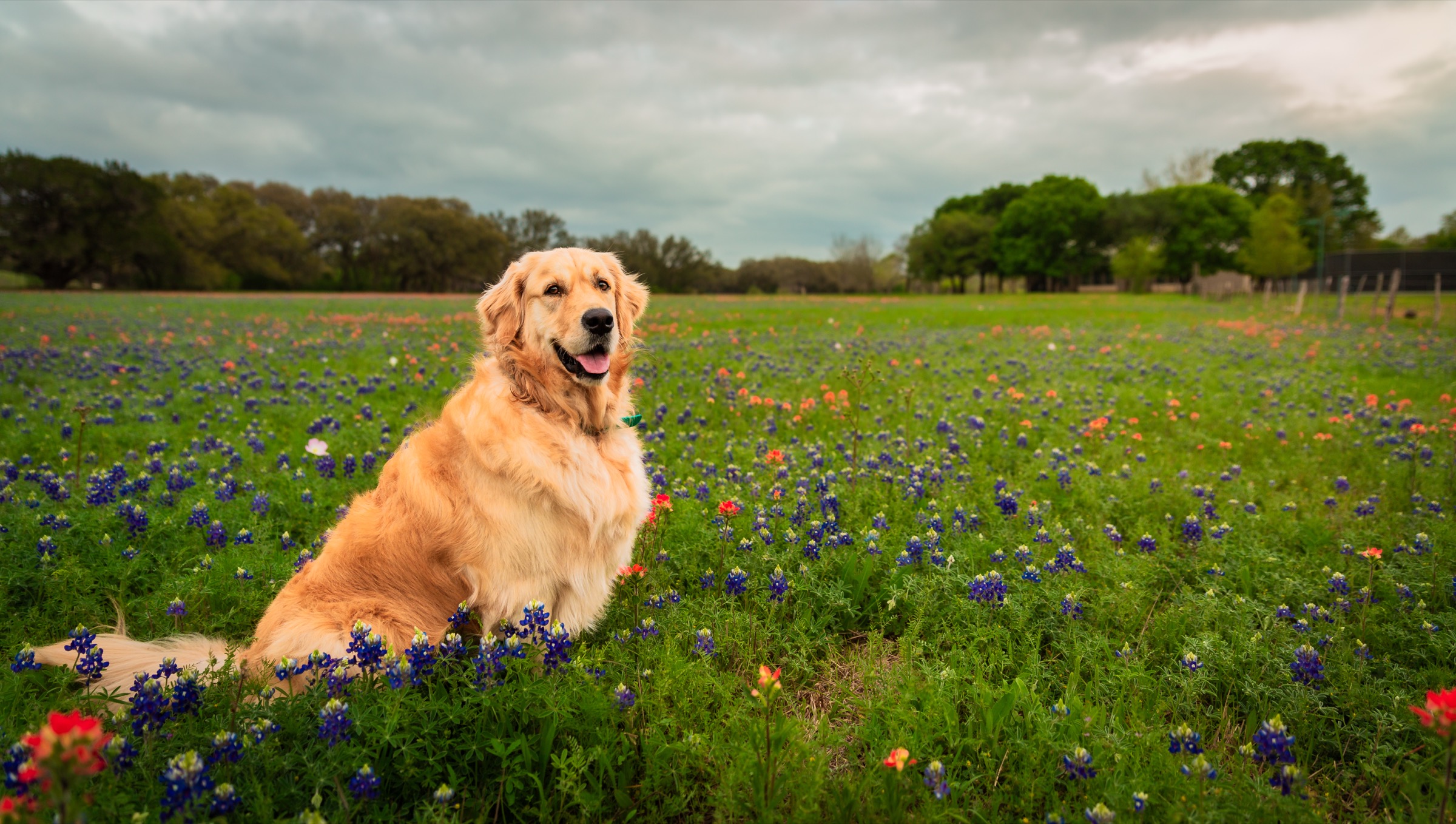 Texas