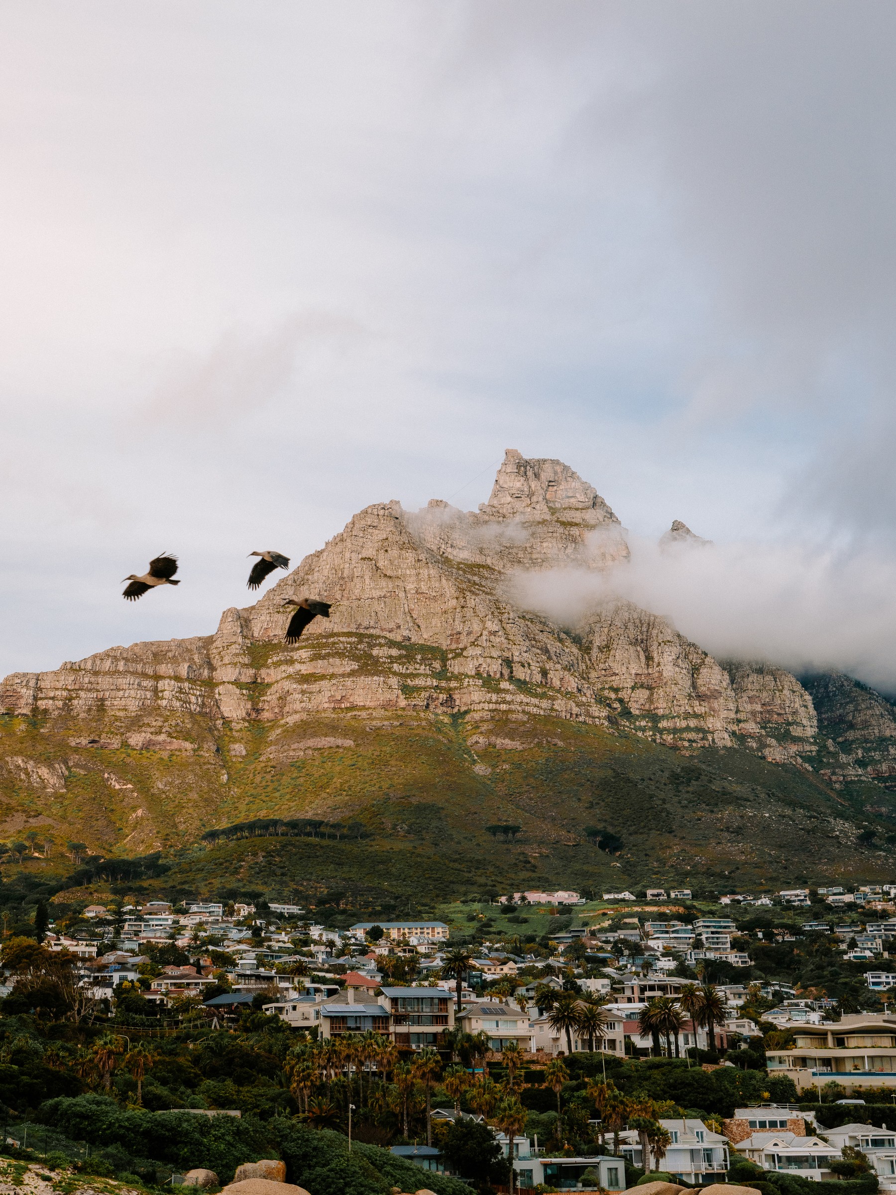 Cape Town Flyby