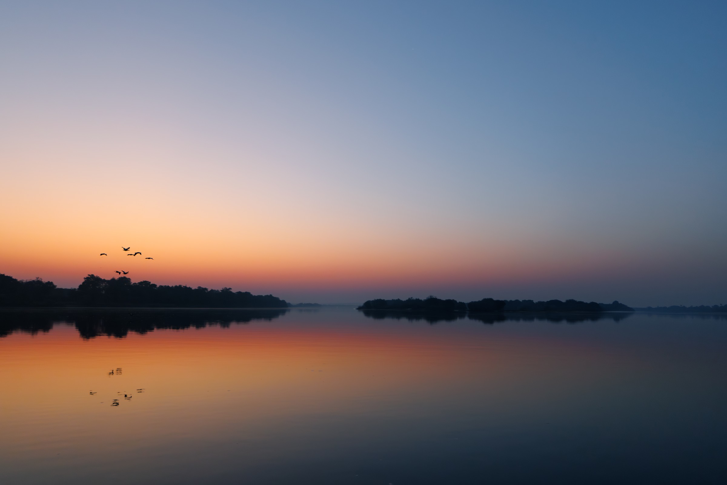 Morning on the Zambezi